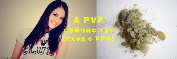 крисы Алексин