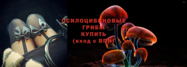 герыч Сафоново
