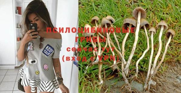 крисы Алексин