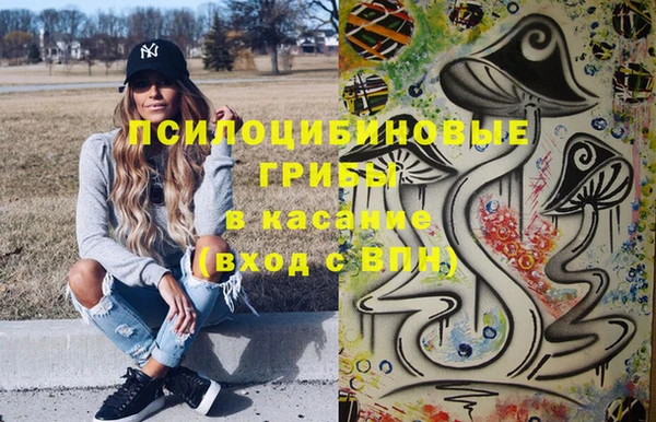 крисы Алексин