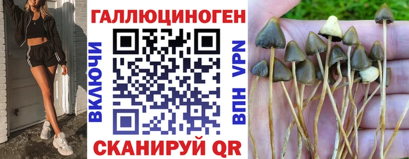 Псилоцибиновые грибы GOLDEN TEACHER  купить наркоту  Амурск 
