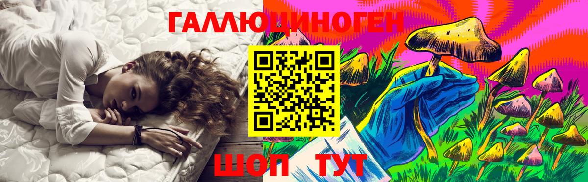 Амурск  Галлюциногенные грибы Psilocybe  Вход с VPN 